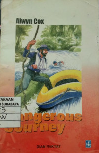 Image of DANGEROUS JOURNEY